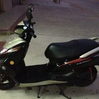 惠州地区出售迅鹰