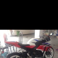 广州出售08鹦鹉改12款