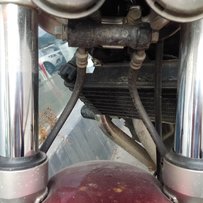 出售非常非常精神的