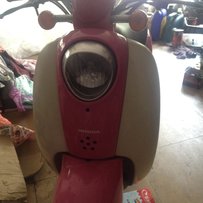 广东江门新会出售dio55期水龟