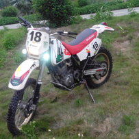 白云代友出台柃木小眼250