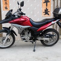 出售正林250和自由300