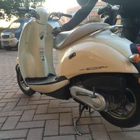 广州金沙洲出本田55期龟仔