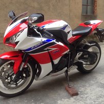 广州出售08鹦鹉改12款鹦鹉