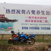 江门代友出台精神新净Z1000