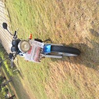 东莞市横沥镇出售本田蚂蚁400