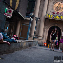 急出99年小黄蜂