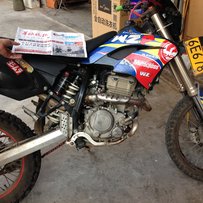 开平出鑫源X2X靓鸡一只