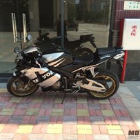 惠州地区出售04F5靓仔到无朋友