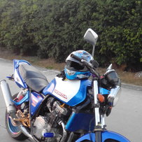 白云代友出两台精神到西甘的跑车