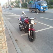 肇庆高要出售03黄9！！！！！