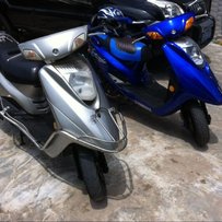 惠阳3300出售三无11年丽鹰100