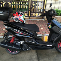 广东韶关出售山叶劲战三代