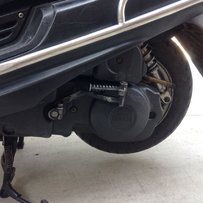 出售部凌鹰极品