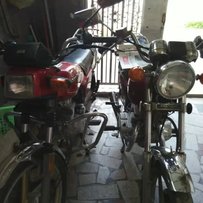 出一辆本田CM125，一辆豪爵125