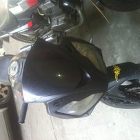 春风夜猫行走了一万多公里