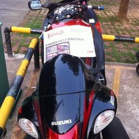 代友出售罕见完整隼