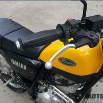 江门新会9000出售一台精神复古小鹿223