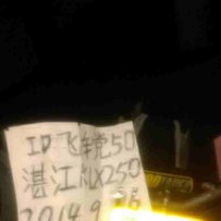 湛江出一台klx250和一台白板鸡，或则换场地车