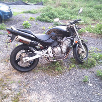 清远转让精神99黄蜂600