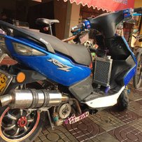 代友发帖 东莞麻涌出售暴力绵羊！