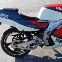 白云出代友出售精神3MA响尾蛇