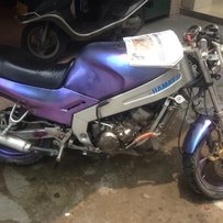 花都出售精神Tzr价钱公道。