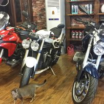 广东中山出售宝马、杜卡迪、凯旋!