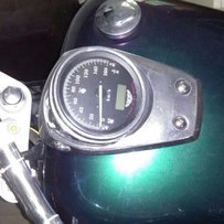 代友发帖..黑寡妇