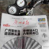 白云出台精神柃木EN125