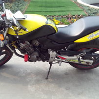 花都出99年小黄蜂