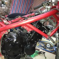 惠州出售尸体盗匪74.烂铁价，能力者收拾没时间了。峰少别删帖卖彩票的关门了回家了。