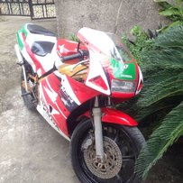 出售精神热火2仔