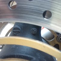 阳江出售精神07黄蜂919