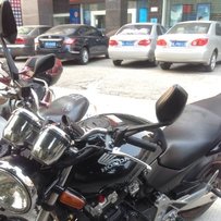 惠阳17800元出售精神小黄蜂