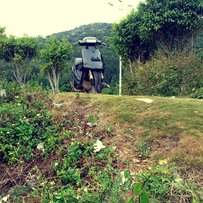 铃木100cc二冲尸体