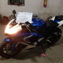 广东揭阳代友出售K9小R