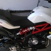 再度发帖售小龙女300