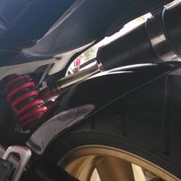 广东汕头出售07末代小黄蜂准shui货成色