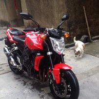 广州代友出08FZ1N 精神到西甘阿