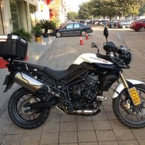 广东韶关出售12年凯旋老虎