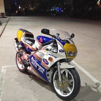 广东梅州出售精神NSR三仔