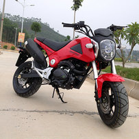 广东高州出 9.9准新车 望江大公仔150