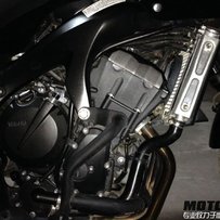 广东河源市出售FZ6S / DL650