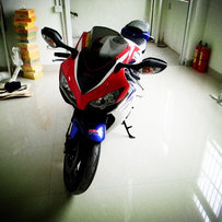 顺德代友出售08一手水鹦鹉