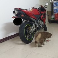 顺德容桂出售04F5。。重新发帖降价求秒。。查车太严！！！！！