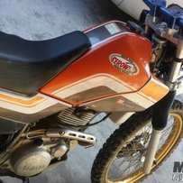 深圳出售两台扒鸡 雅马哈小鹿 和国产扒鸡